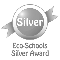 Eco Schools Silver Award